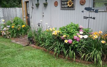 Jardinería en el centro de Mississippi-2013
