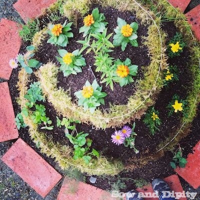 diy spiral herb garden, diy, flowers, gardening