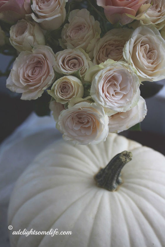 romantic pink roses with white pumpkins, seasonal holiday decor