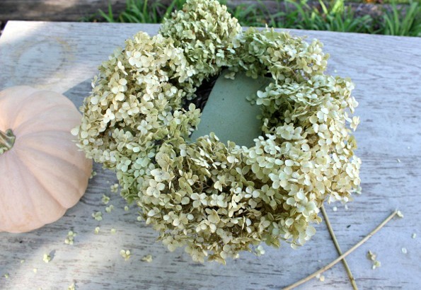 arreglo sencillo de calabazas y hortensias, A ade las hortensias en forma de c rculo