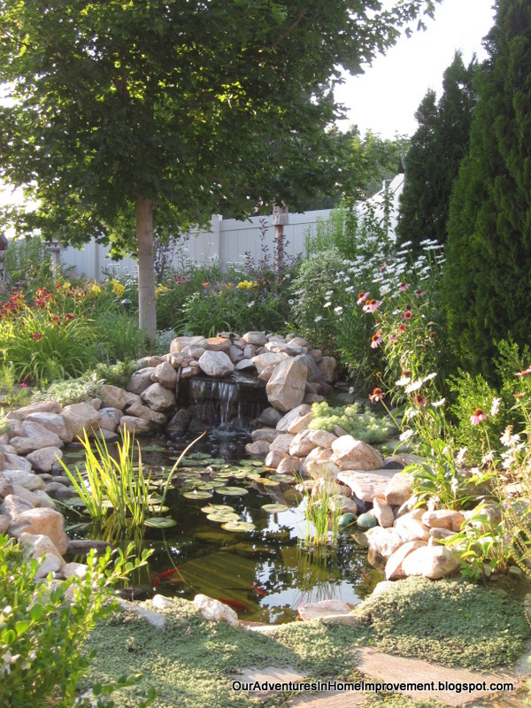 a new shady spot by the pond, gardening, outdoor living, ponds water features
