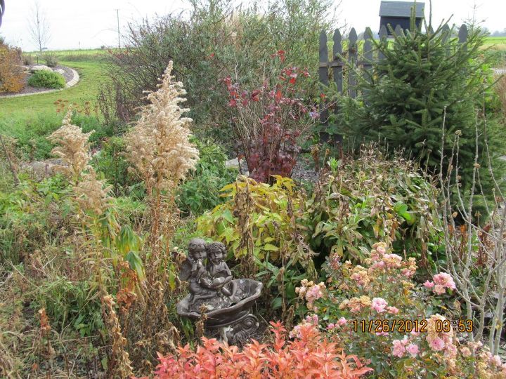 comparte usted las vistas de su jardn para animar a otros a probarlo