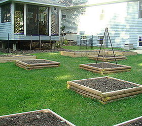 raised beds create focal point in sunny garden spot, diy, flowers, gardening, raised garden beds, woodworking projects