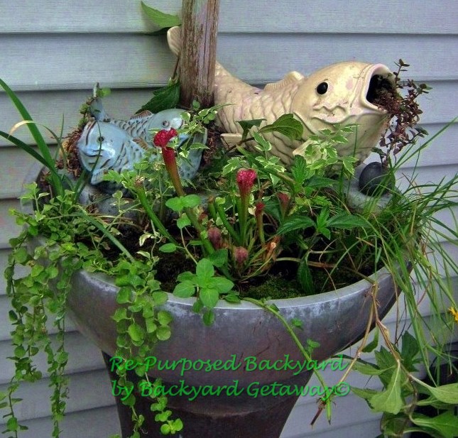 re purposed backyard, gardening, repurposing upcycling, Old fountain turned planter