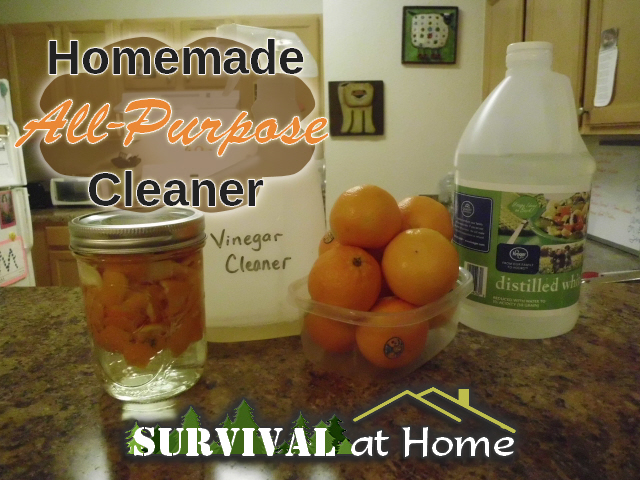 homemade all purpose citrus cleaner, cleaning tips, For more great homesteading tips visit