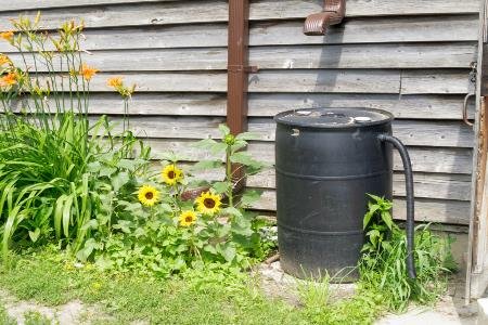 how to install a rain catcher, diy, gardening, go green, homesteading, how to, This is a rain barrel