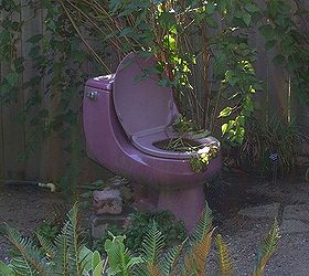 the potty by the stream, gardening, I have had this potty since a client of mine changed colors in middle of the job It s fun it s unexpected and it s great for water plants Do not put in any regular plant because a potty has a P trap and does not let water drain