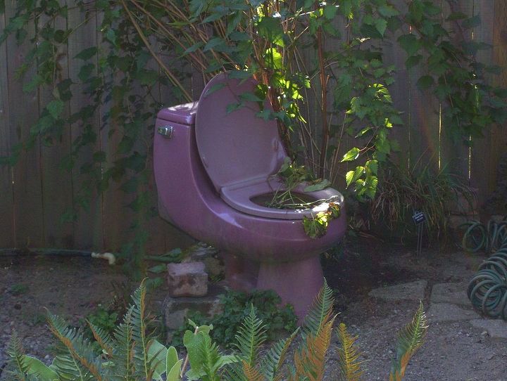 the potty by the stream, gardening, I have had this potty since a client of mine changed colors in middle of the job It s fun it s unexpected and it s great for water plants Do not put in any regular plant because a potty has a P trap and does not let water drain