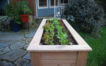 Lettuce table for growing vegetables right on the patio.