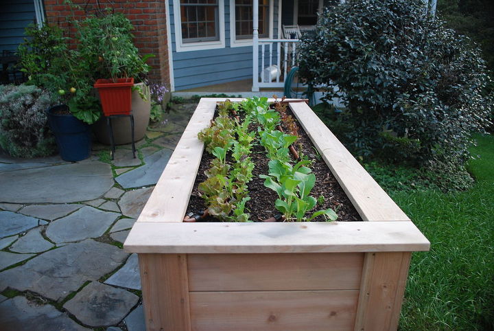 lettuce table for growing vegetables right on the patio, gardening