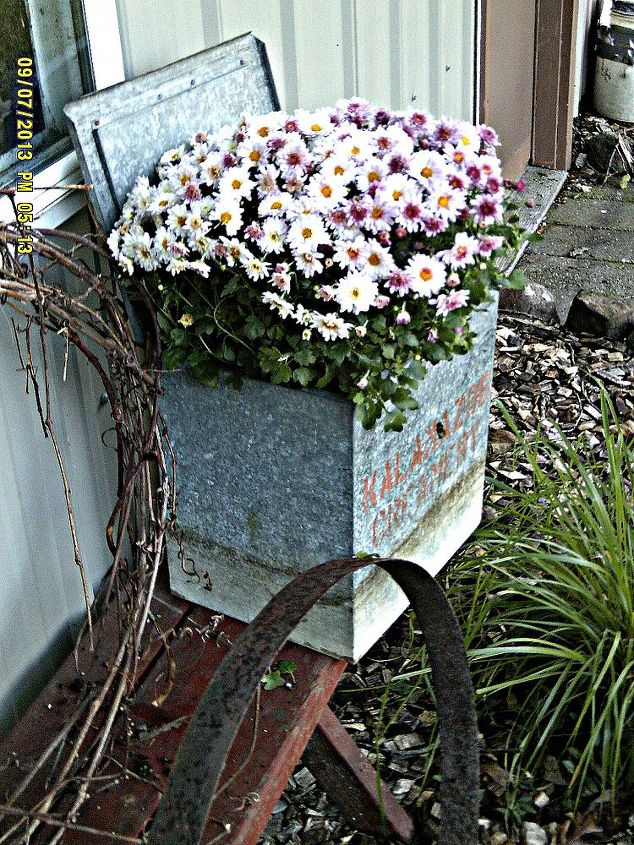 fall decorating at the small house under a big sky d cor roundup, flowers, gardening, seasonal holiday d cor, Old Kalamazoo Creamery Kalamazoo Michigan milk box This years mums are all a soft pink to highlight our faded pink Indiana Limestone siding on the Small House