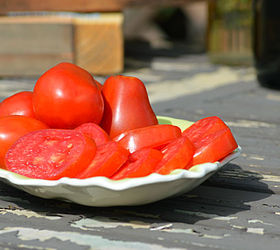 have an abundance of tomatoes preserve them by sun drying, container gardening, gardening, homesteading, Wash tomatoes and pat dry Slice a minimum of 1 4 inch thick Keeping in mind that the thicker the tomato the longer it will take to dry