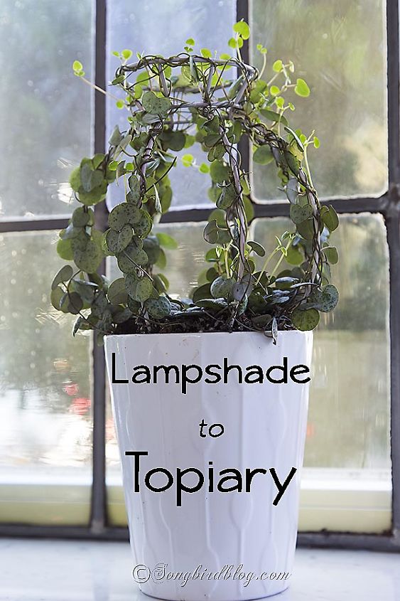 lampshade to topiary, crafts, gardening, repurposing upcycling