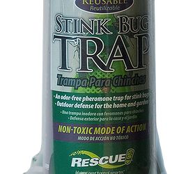 don t let stink bugs make you a fool this april, pest control
