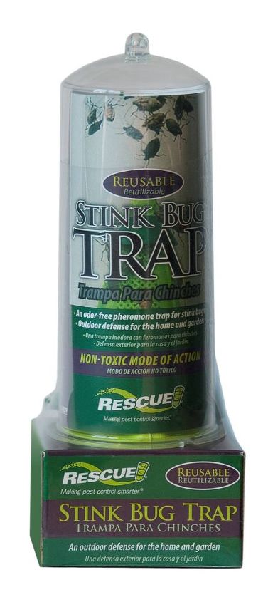 don t let stink bugs make you a fool this april, pest control
