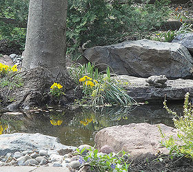 find serenity now with a water garden and patio, decks, flowers, gardening, landscape, outdoor living, patio, ponds water features, Add personal touches