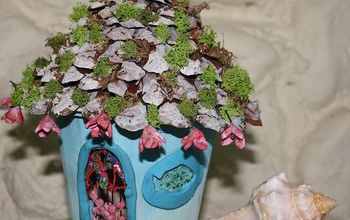 How a Little Fairy House Experiment Took on a Life of It's Own!