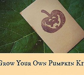 grow a pumpkin trick or treat kit, gardening, Pumpkin seed packets for Trick Or Treating candy alternatives Fun Halloween DIY kids can help you with pumpkinideas