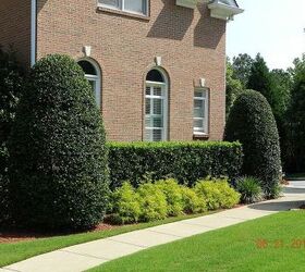 personal touch lawn care, gardening, landscape, lawn care