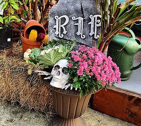whimsical fall planters, gardening, halloween decorations, seasonal holiday d cor, Ornamental Winter Kale Fountain Grass and a Chrysanthemum combine nicely in this pot Pop in a skeleton from Walmart and tombstone and you get a fun front door display