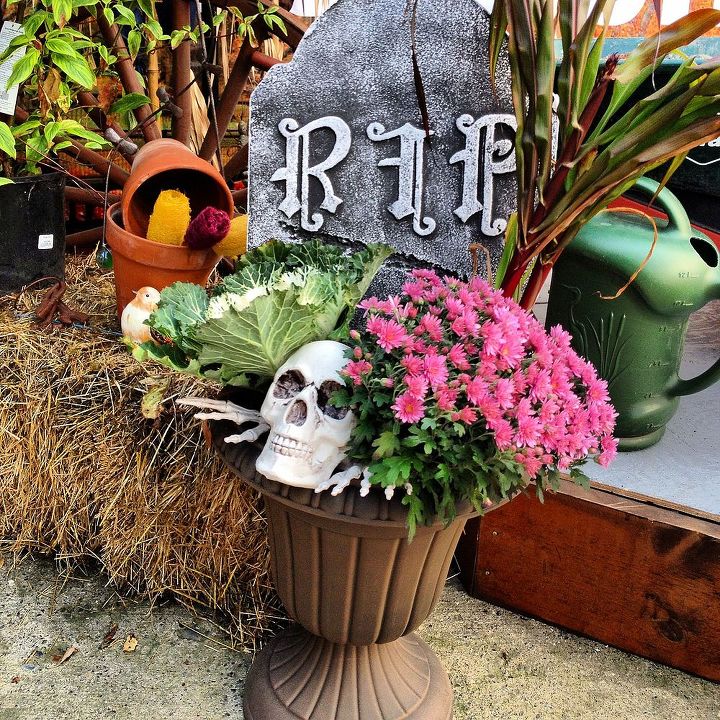 whimsical fall planters, gardening, halloween decorations, seasonal holiday d cor, Ornamental Winter Kale Fountain Grass and a Chrysanthemum combine nicely in this pot Pop in a skeleton from Walmart and tombstone and you get a fun front door display