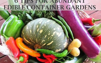 6 Tips for Abundant Edible Container Gardens