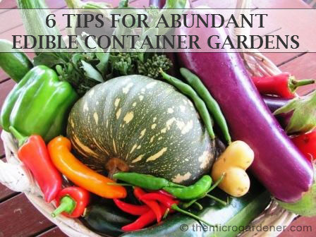 6 tips for abundant edible container gardens, container gardening, gardening, This is a basket harvested from my summer garden