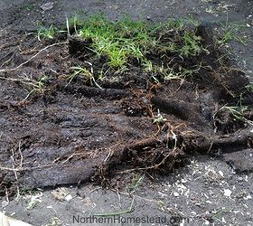 what the weed control fabric looks like after years in the garden, gardening