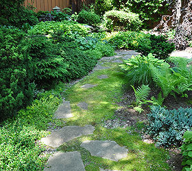garden tour a beautiful tapestry, flowers, gardening, A moss covered pathway leads further into the garden