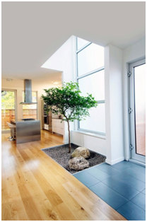no longer strictly reserved for the outdoors living trees can breathe, home decor, mp it up Not only a great d cor solution for an empty corner the right tree can boost up the drama as a focal point
