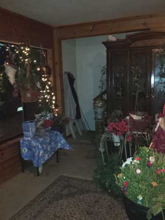 christmas decor and houseplants, christmas decorations, gardening, seasonal holiday decor, Foyer