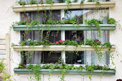 Using gutters as planters creating a living window shadeEach 10' gutter was cut to 5' lengths
Then measured 18 inches from each end and 2 inches across for cord placement.
Drainage holes were drilled all along the bottom of the gutters.
Supports end caps (not shown) were added
Each gutter was spray painted with Rust-oleum Ultra Cover that bonds with plastic
Colors used were Sage Green and Fossil
2 of the gutters were painted with Sage Green and the other 2 were painted Fossil
After painting the gutters let them completely dry