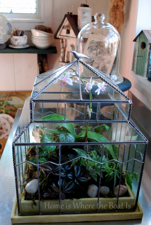 gardening under glass, gardening, terrarium