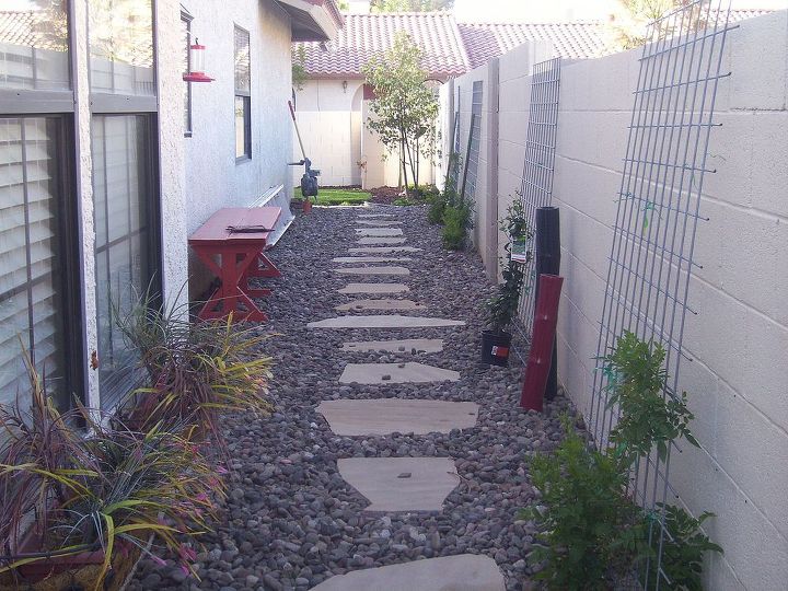 narrow side yard, gardening, outdoor living, I lost a vine this winter Must replant the new one I had to trim the others back quite a bit Almost lost them all I am going to stager the flagstone for a more interesting look
