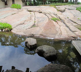20 000 gallon pond by tjb inc in guilford ct, outdoor living, pets animals, ponds water features
