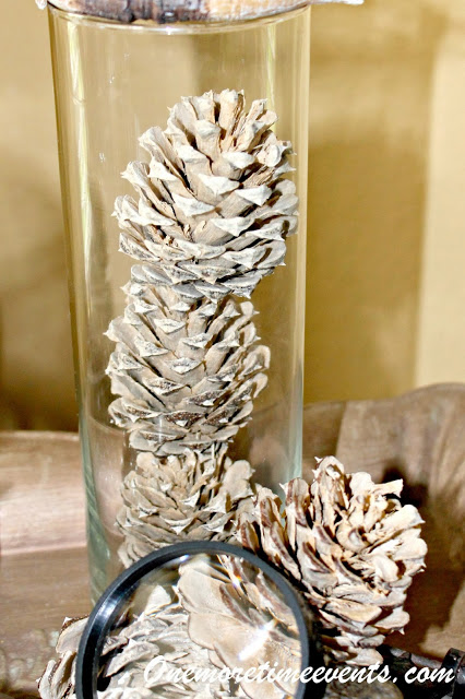 masculine christmas vignette with a touch of elegance, crafts, seasonal holiday decor, Bleached pinecones