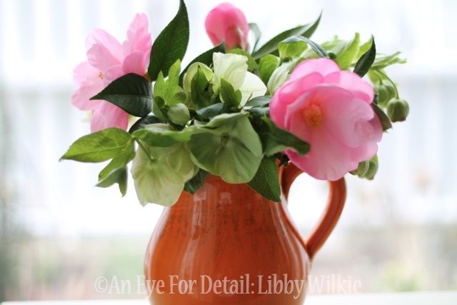 latest in my friday flowers series camellias, flowers, gardening