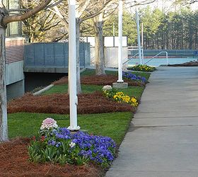 pathways, gardening, landscape, lawn care, Great color beds and fresh pinestraw really make this part of the campus stand out