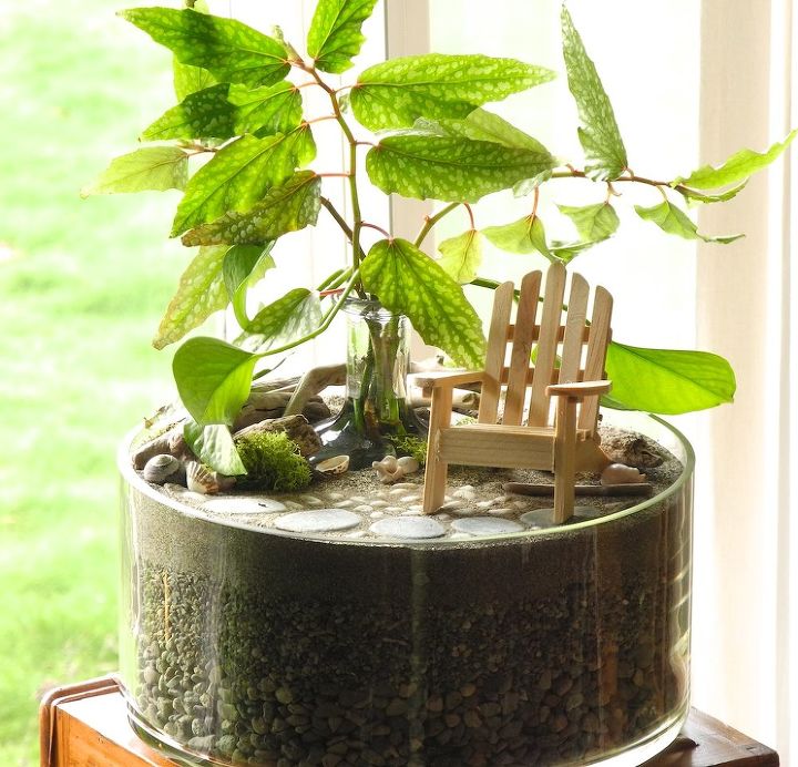 simple ways to add plants indoors with miniature gardening, crafts, gardening, home decor, A fun way to root your houseplants