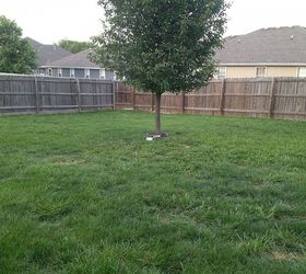 q backyard help needed, gardening, landscape, This is the lowest part of the yard