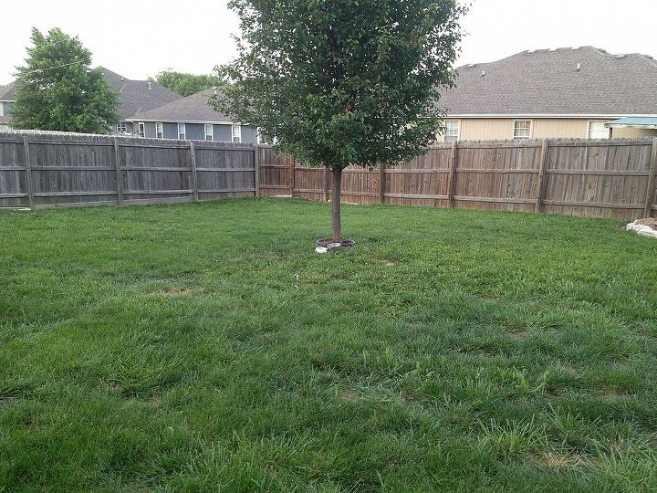 q backyard help needed, gardening, landscape, This is the lowest part of the yard