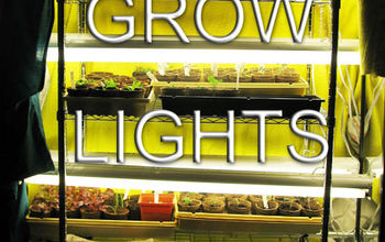  Configuração de luz de cultivo barata para iniciar sementes dentro de casa
