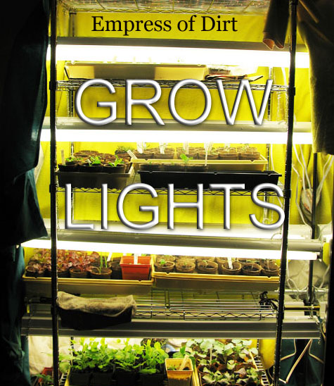 configurao de luz de cultivo barata para iniciar sementes dentro de casa, Aviso plantar sementes divertido e viciante