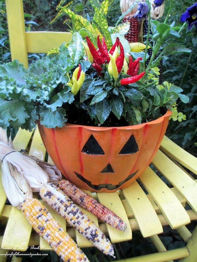autumn in the garden, container gardening, garages, gardening, seasonal holiday decor, Autumn harvest chair in the garden made with Indian corn a 5 garage sale chair and a jack o lantern planter with solidago growing in the background