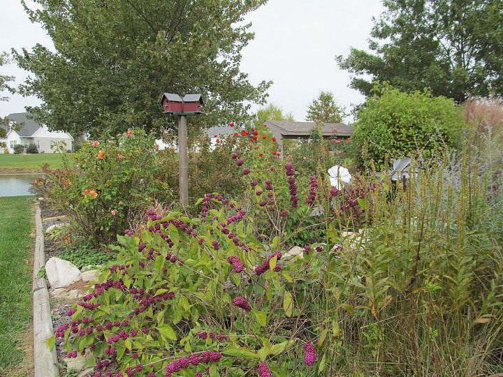 comparte usted las vistas de su jardn para animar a otros a probarlo