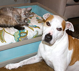 homemade dog cat beds, diy, pets animals, woodworking projects