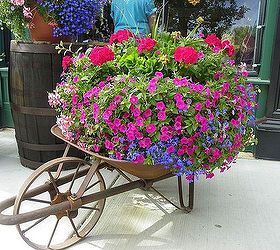 my top five flowers for arrangements, flowers, gardening, outdoor living, perennial, repurposing upcycling, This is one way you can grow your choices for cutting flowers