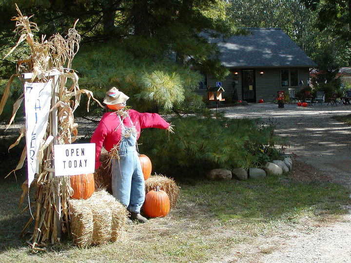 scarecrow love, outdoor living, seasonal holiday decor, Fall d cor at the former White Oak Studio Gallery