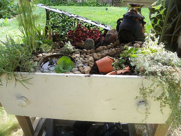 my fairy garden, gardening