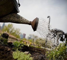 Chicago S Peterson Garden Project Was Built For Victory Hometalk